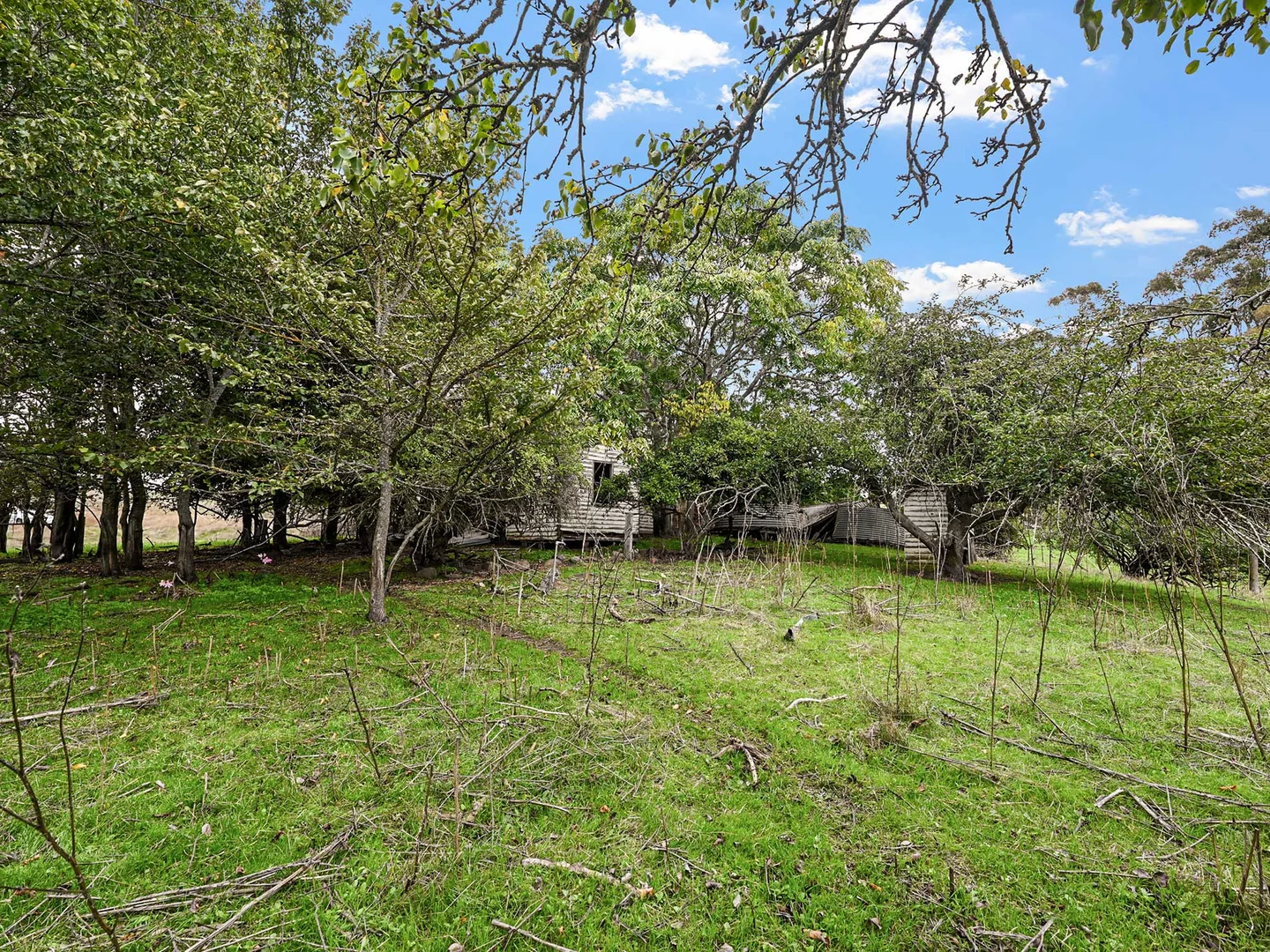 Additional image 6 of 4231 Dartmoor-Hamilton Road, Grassdale VIC 3302