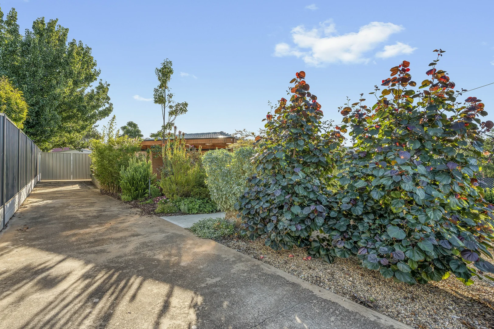 Additional image 26 of 3 Chapman Avenue, McLaren Vale SA 5171