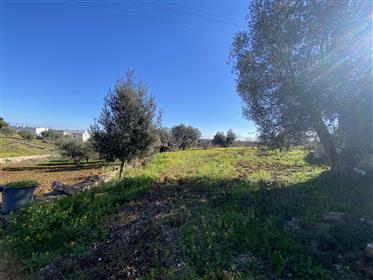 Additional image 4 of Martina Franca (Taranto)