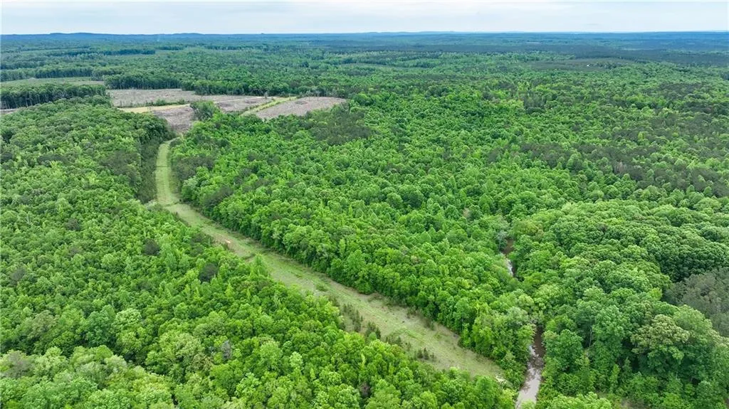 Additional image 35 of 1850 Lee Rd 140, Salem, AL 36874
