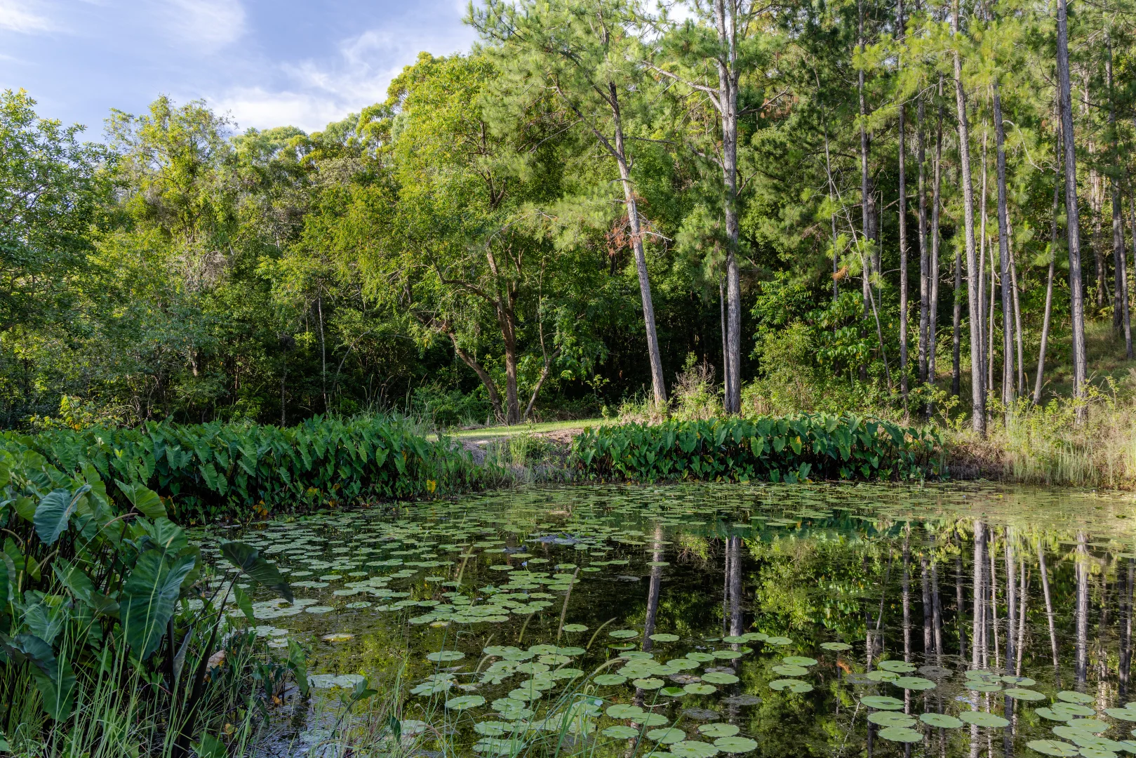 Additional image 2 of Eumundi QLD 4562