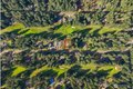 Additional image 36 of 10706 Pioneer Dr, Anderson Island, WA, 98303