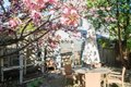 Additional image 38 of 121 Thorndike St, Brookline, MA, 02446