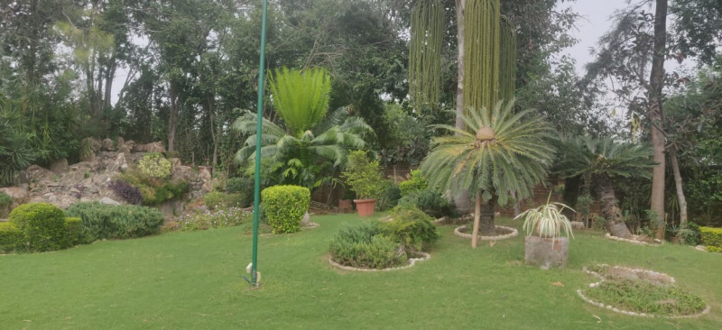 Sector A, Vasant Kunj, Delhi photo 2