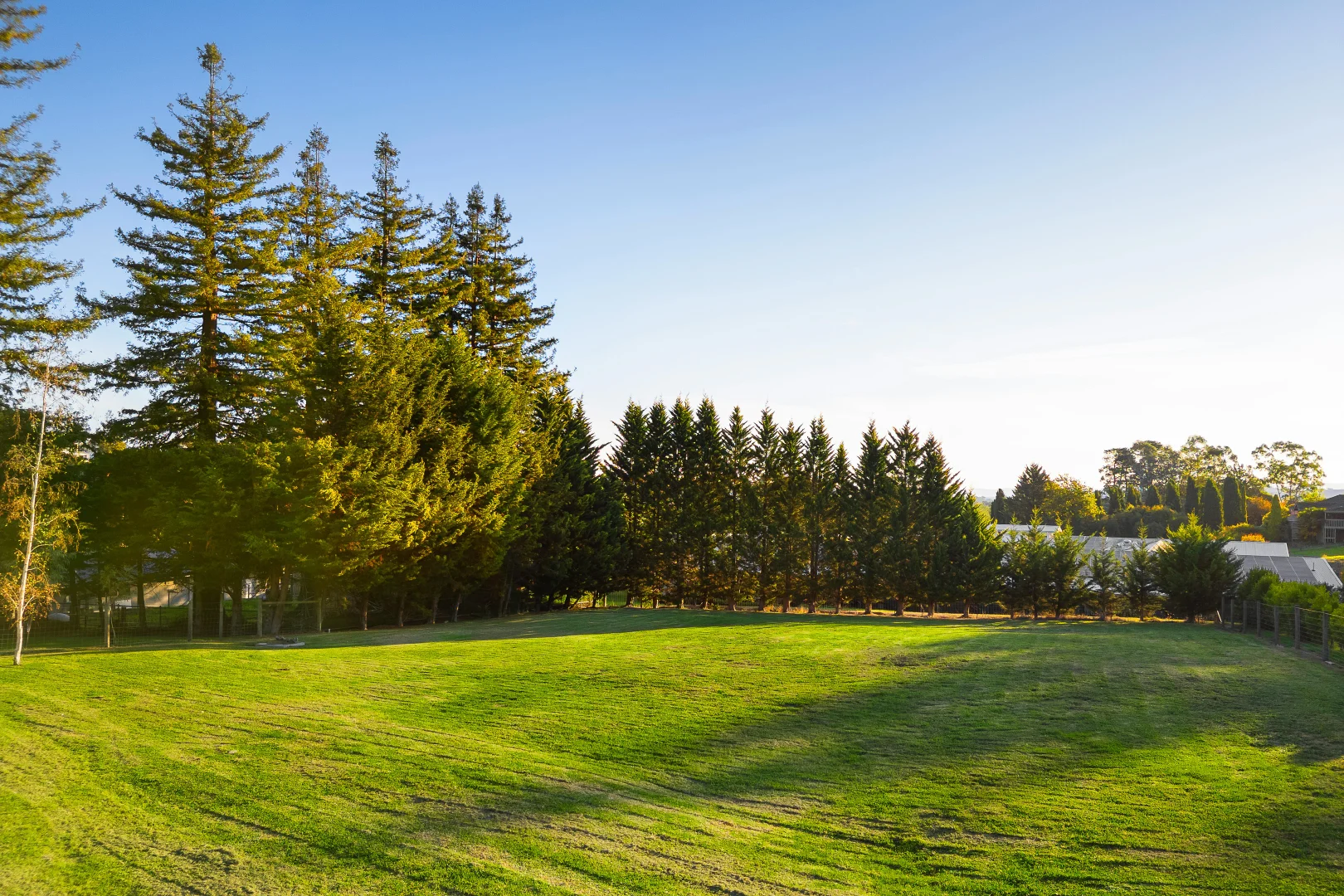 Additional image 22 of 1B Lalors Lane, Healesville VIC 3777