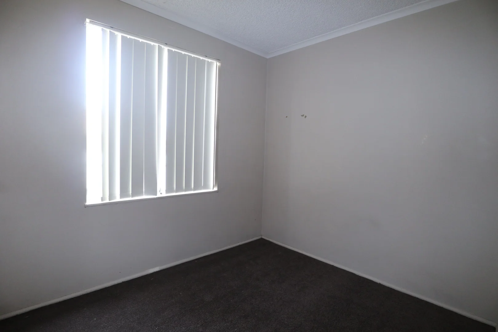 Additional image 5 of 13/1 Joyes Place, Tolland NSW 2650