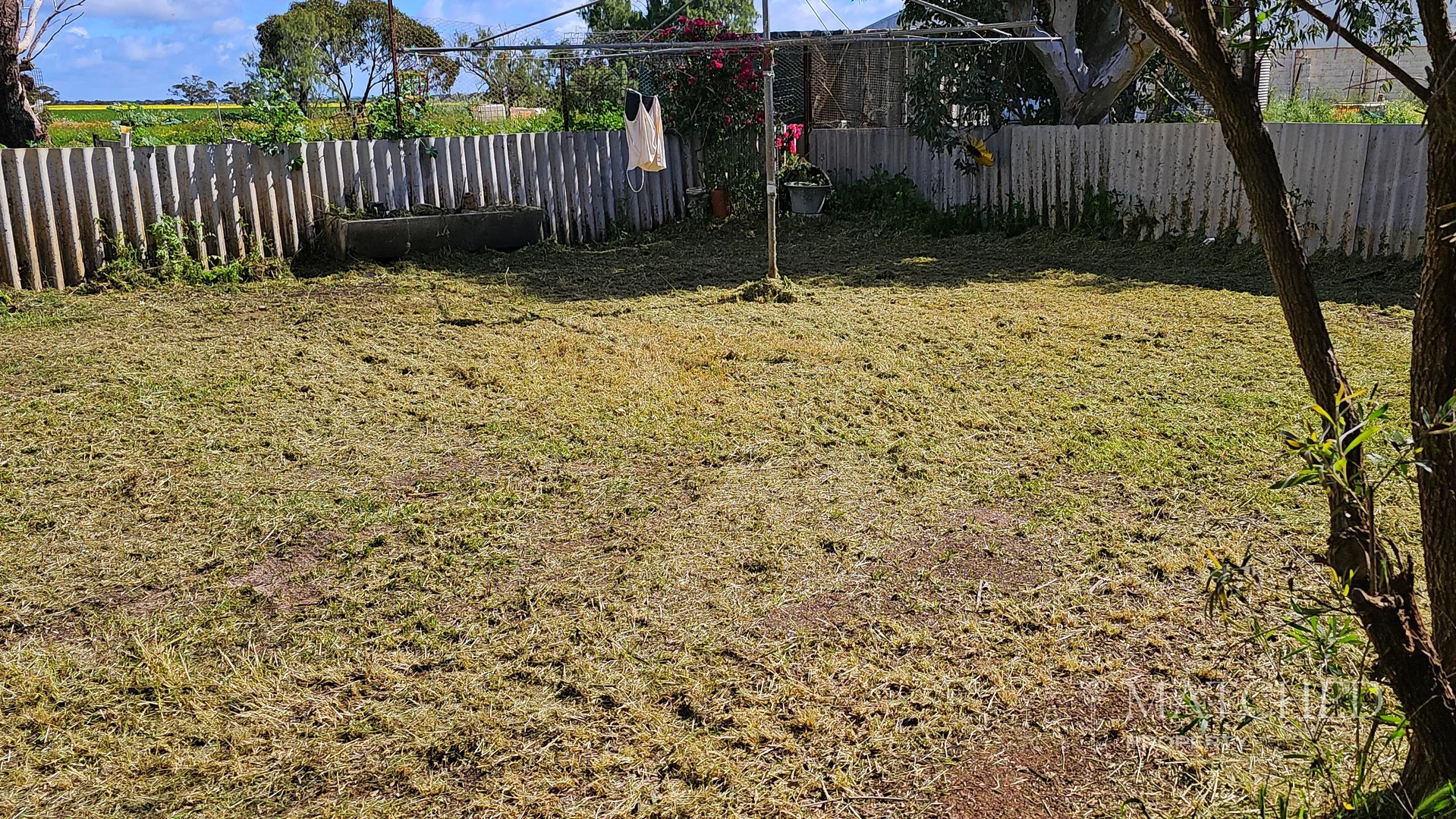 Additional image 23 of 9088 Mullewa-Wubin Road, Morawa WA 6623