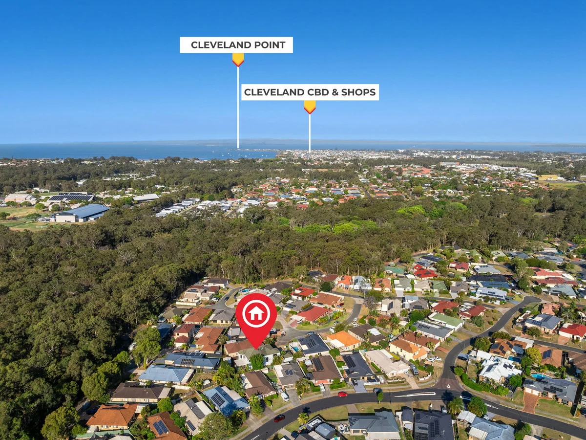 Additional image 20 of 12 Holborn Court, Alexandra Hills QLD 4161