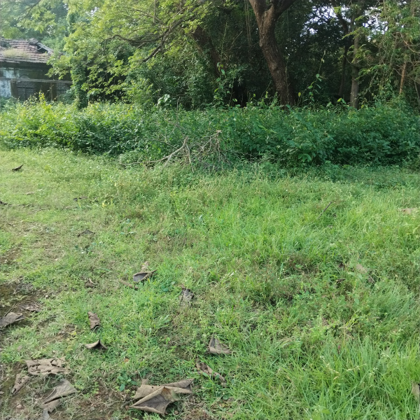 Additional image 2 of Betalbatim, South Goa, Goa