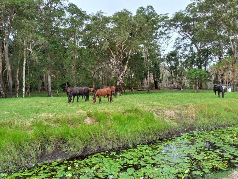 Additional image 13 of 1/154 Danns Lane, Keith Hall NSW 2478