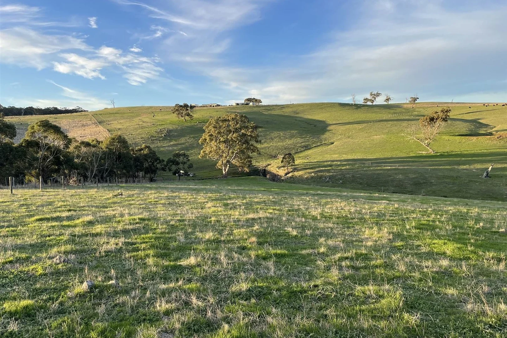 Additional image 31 of 549 Old Bull Creek Road, Strathalbyn SA 5255