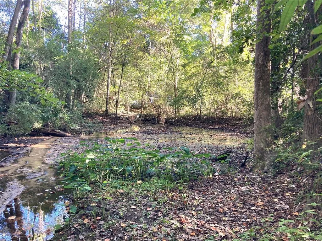 Additional image 6 of Big Spring Drive, Phenix City, AL 36870