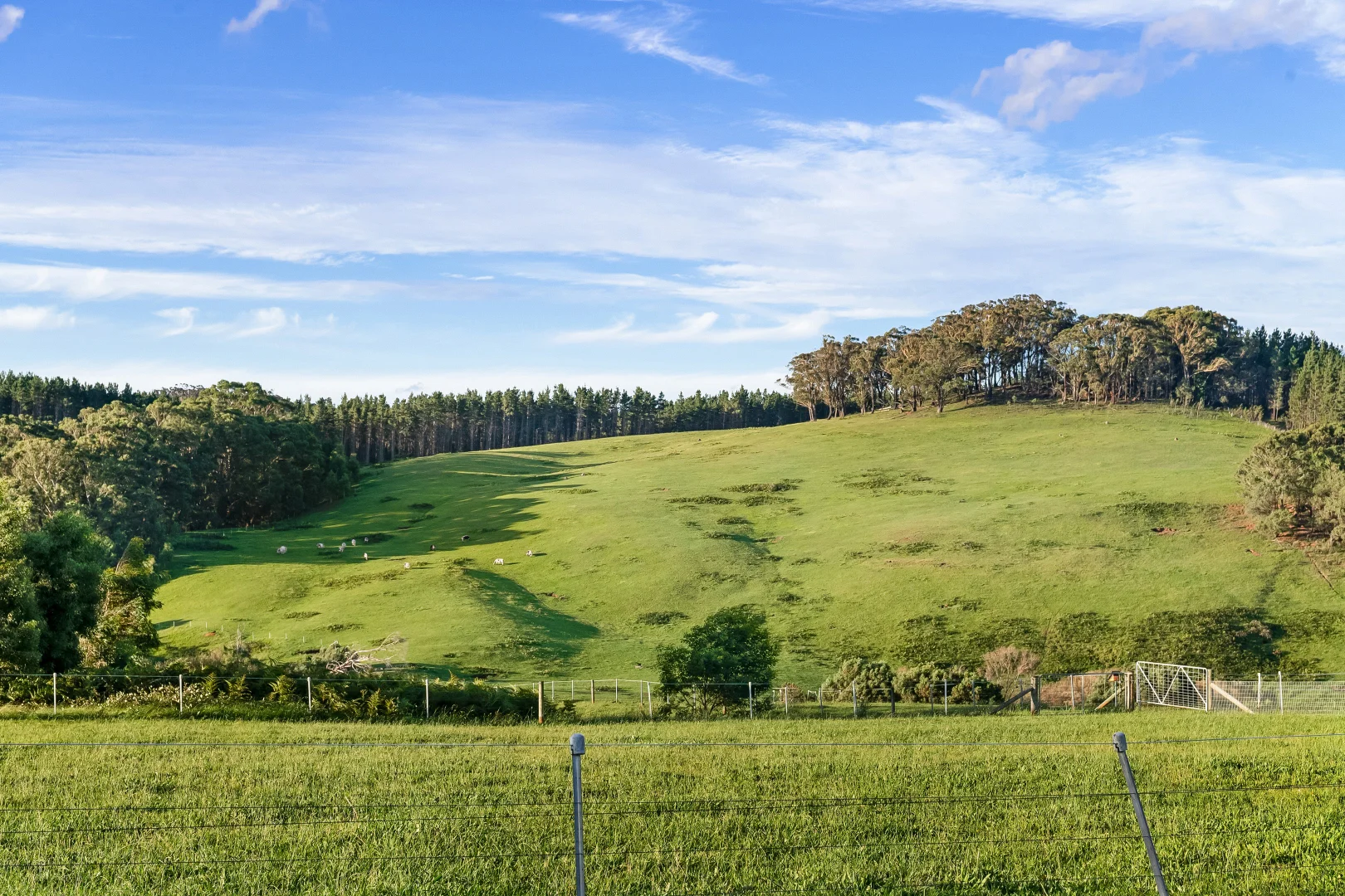Additional image 39 of 59 Razorback Road, Tallong NSW 2579