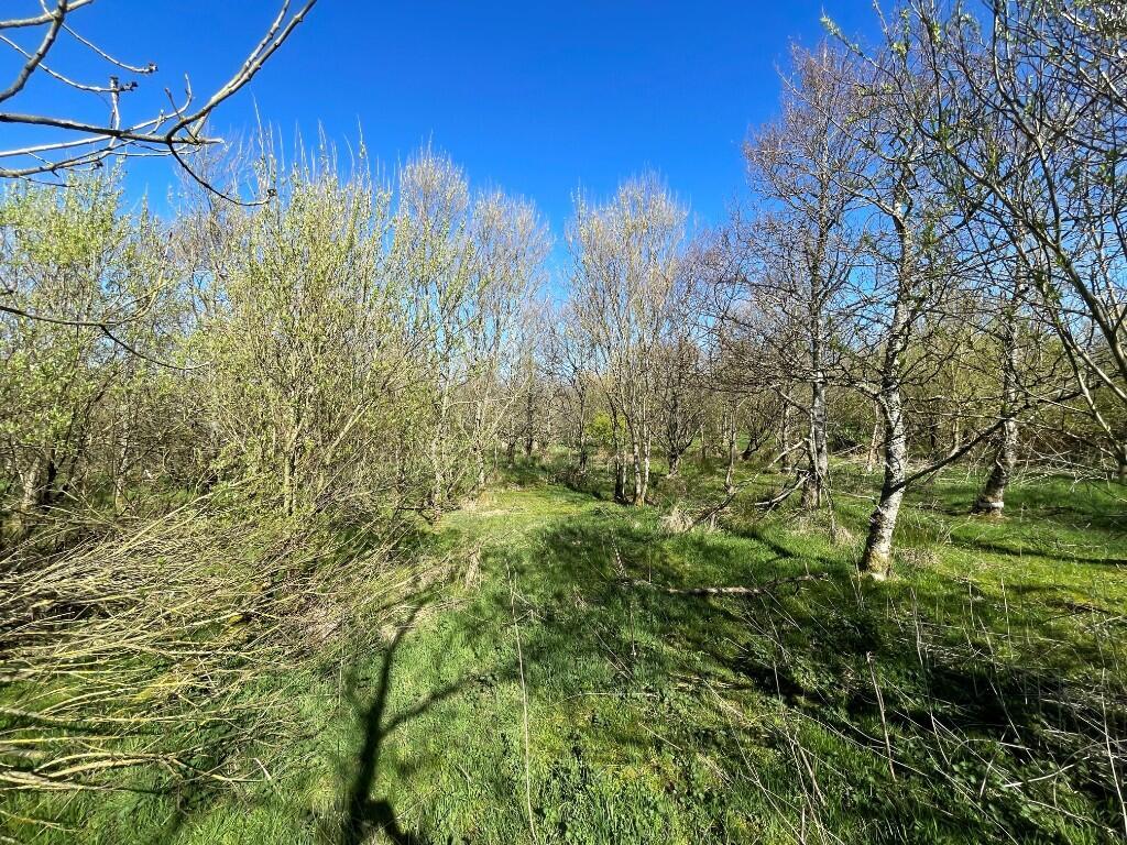Additional image 8 of Lot 2 Woodland at Broadmuir, Hill of Fisherie, Turriff, AB53 5QL