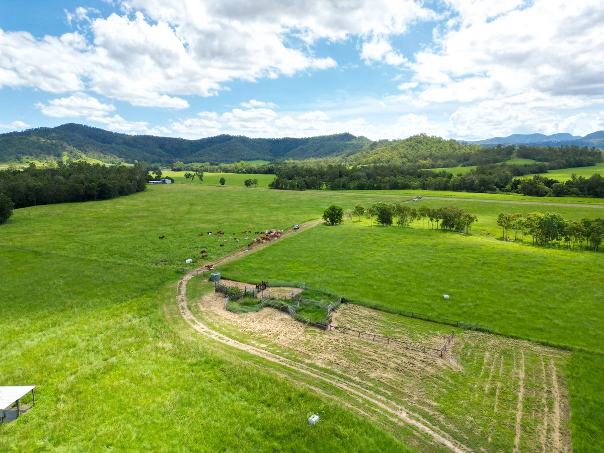 Additional image 2 of 353 Pinnacle-Septimus Road, Pinnacle QLD 4741