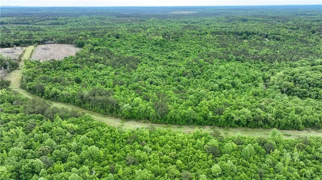 Additional image 6 of 1850 Lee Rd 140, Salem, AL 36874