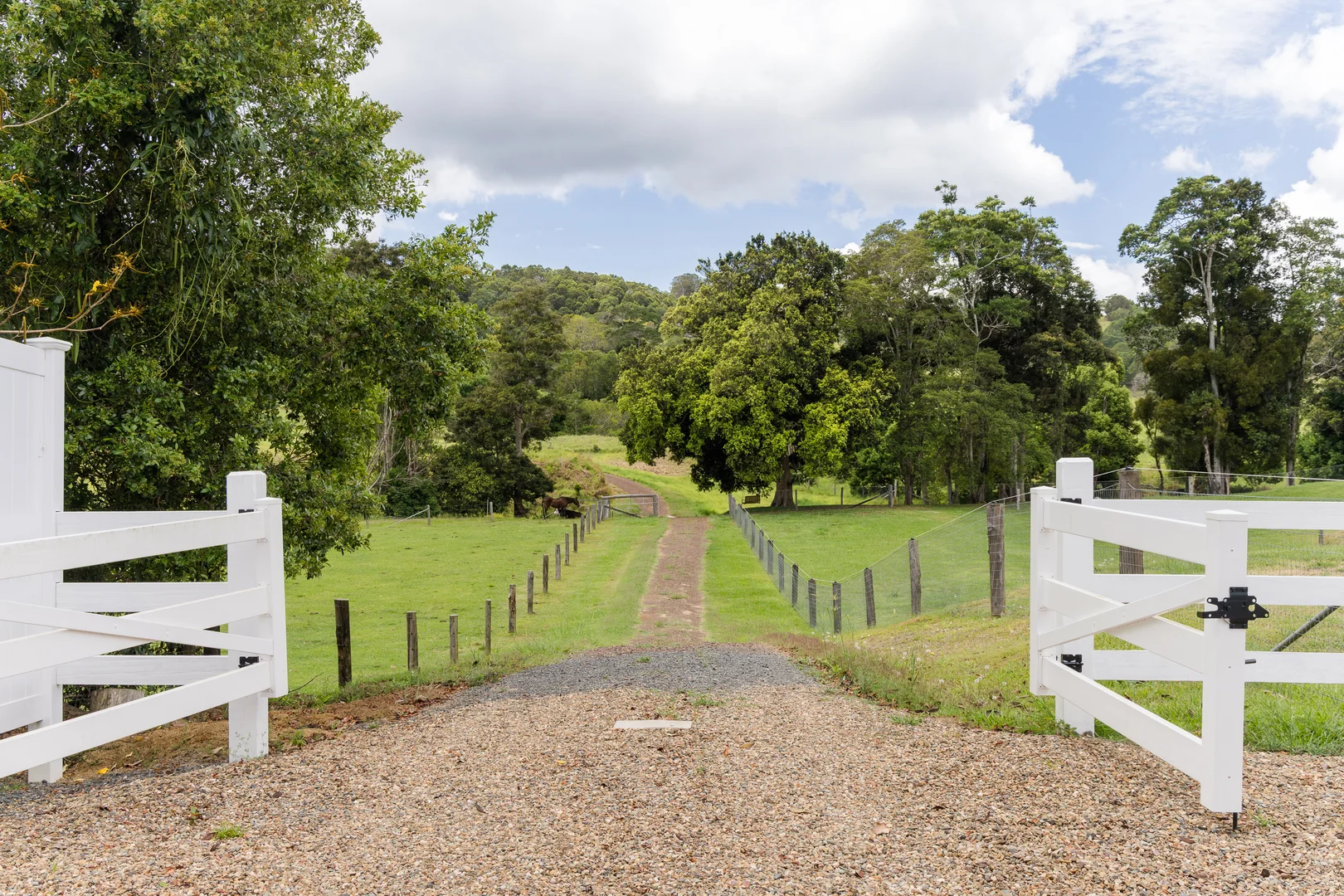 Additional image 36 of 157 Middle Creek Road, Federal QLD 4568
