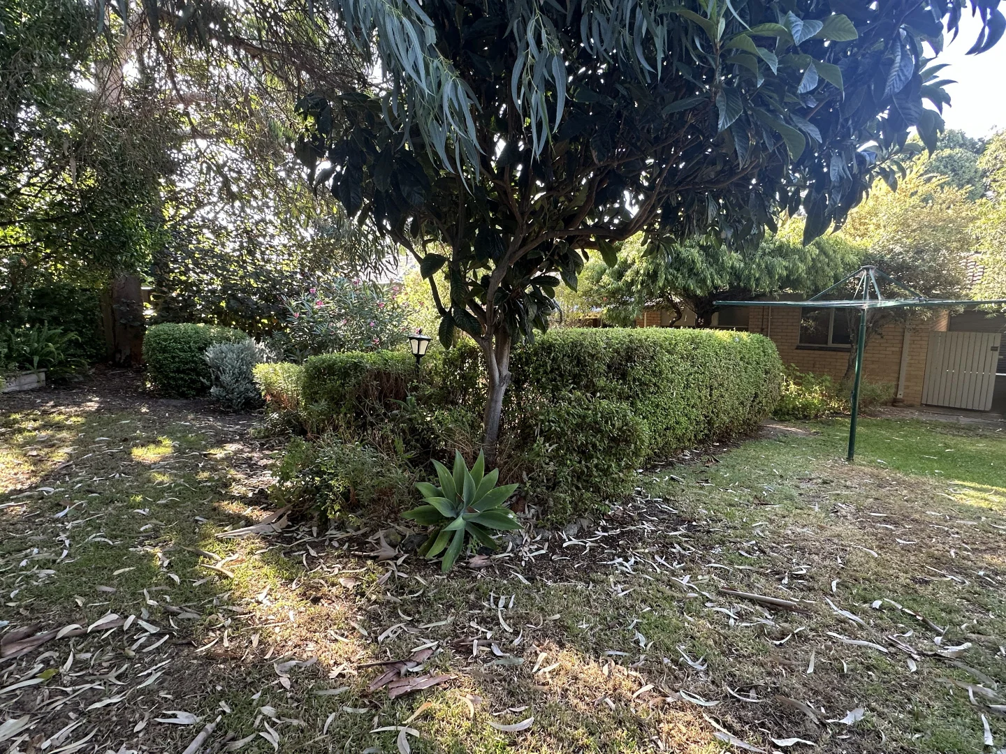 Additional image 14 of 47 Pascoe Street, Karrinyup WA 6018