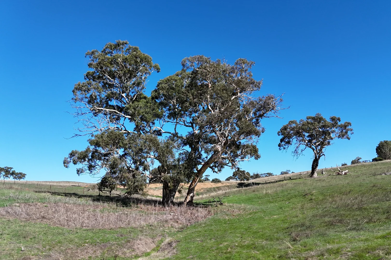 Additional image 26 of 549 Old Bull Creek Road, Strathalbyn SA 5255