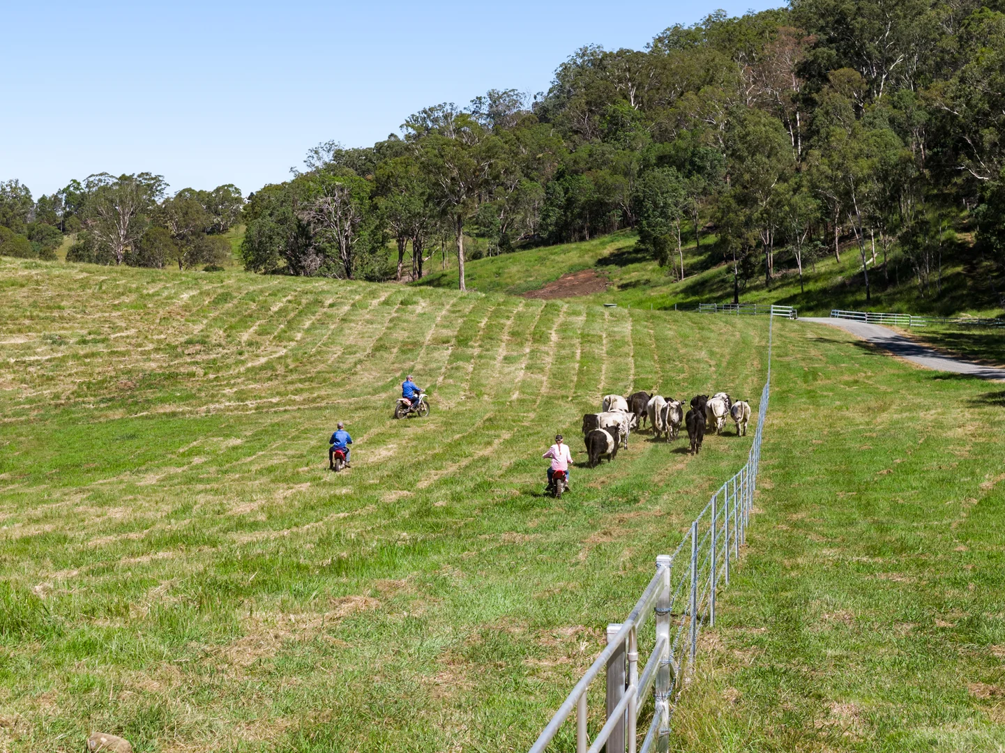 Additional image 4 of "Bellbird Ridge" Lot 445 Ted Road, Geham QLD 4352