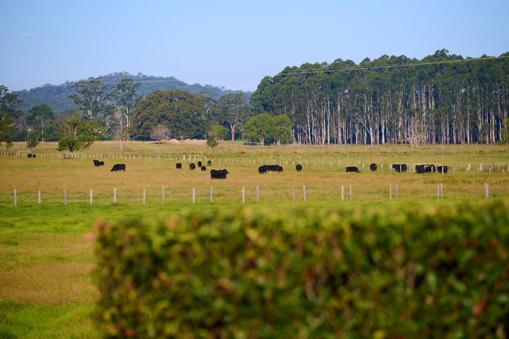 Additional image 32 of 561 Rawdon Island Road, Rawdon Island NSW 2446