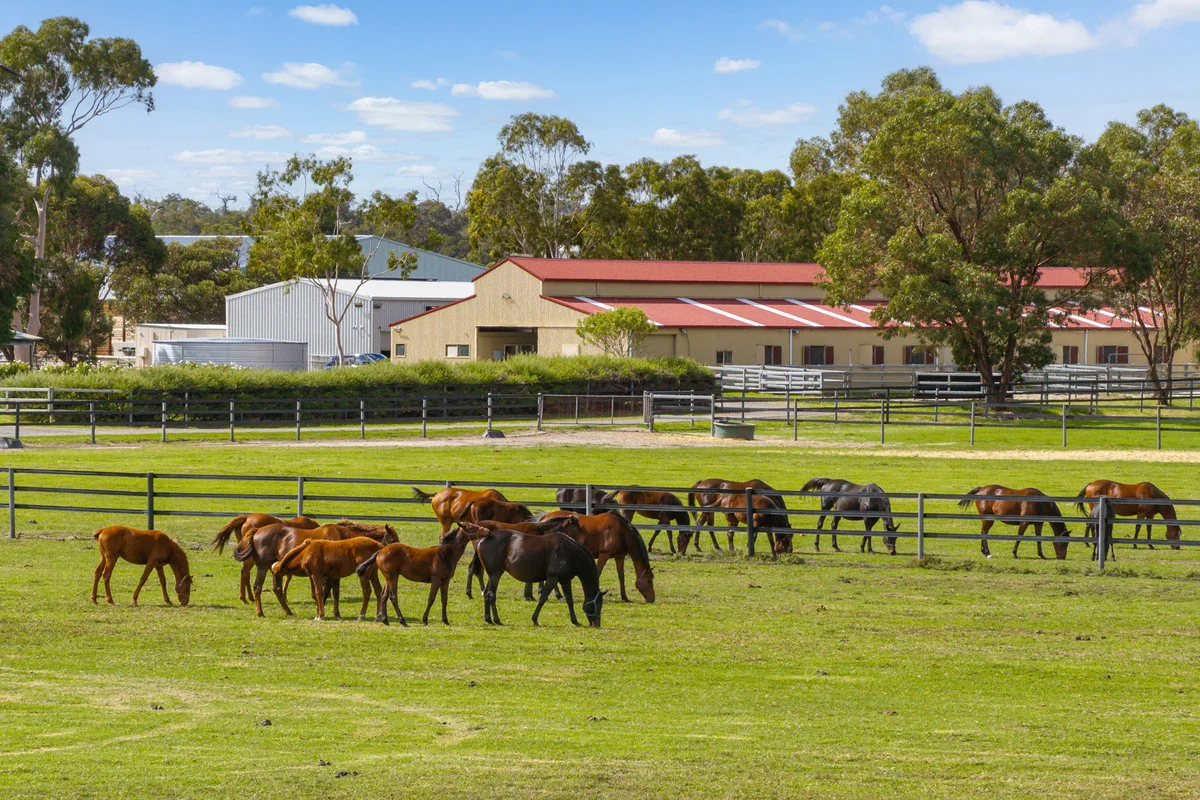 Additional image 7 of 136 Pead Road, Binningup & Lot 102 Runnymede Road, Binningup, Binningup WA 6233