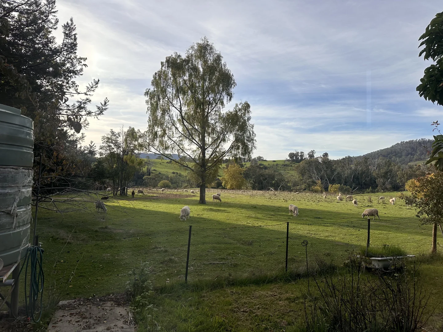 Additional image 15 of 101 Pound Creek Road, Tumbarumba NSW 2653