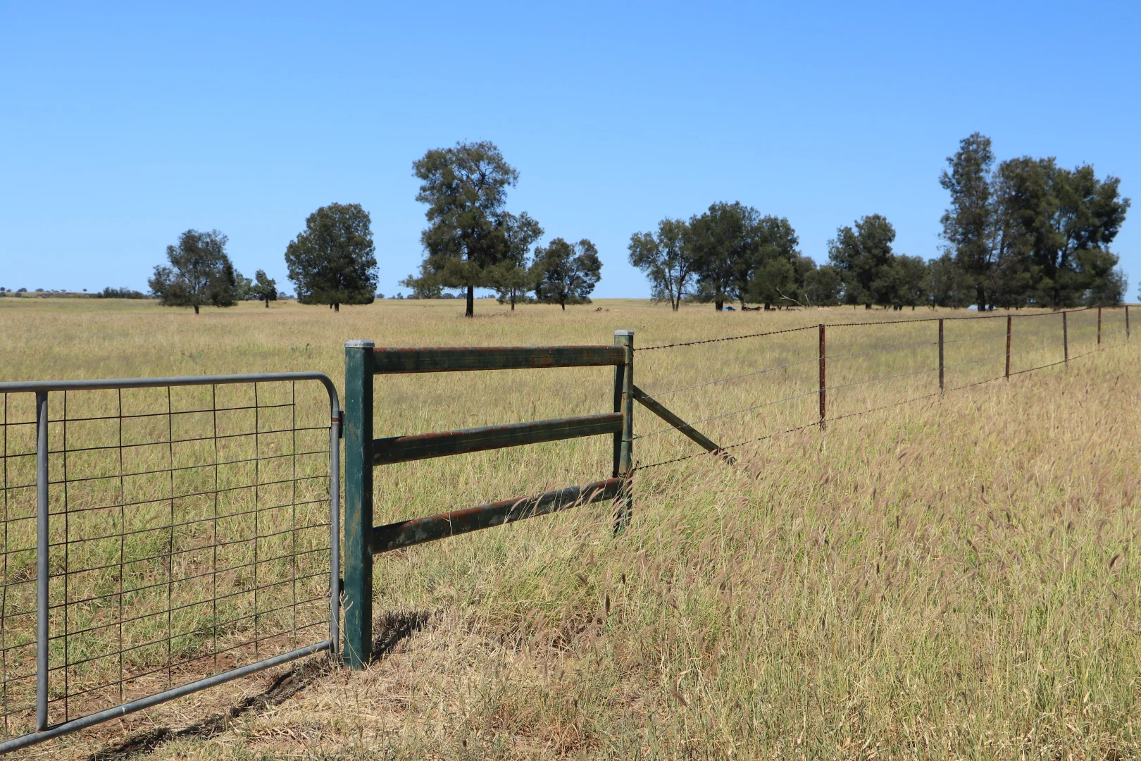 Additional image 25 of 236 Tiger Scrub Road, Roma QLD 4455