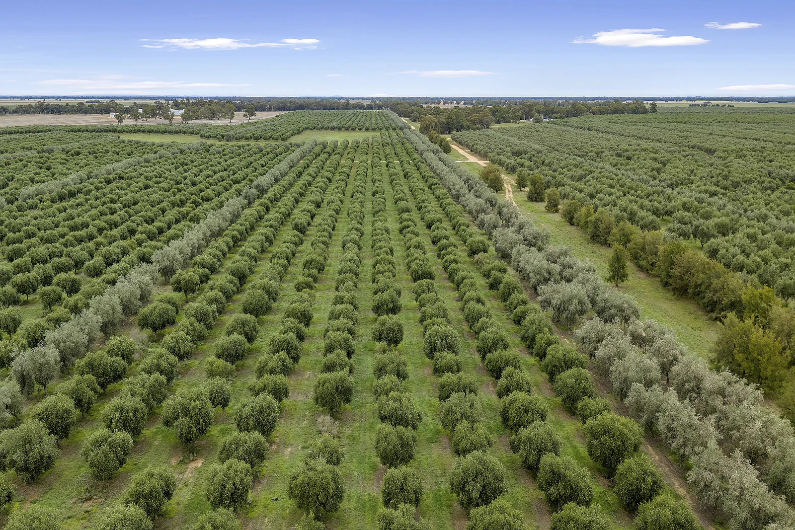 Additional image 7 of . Echuca Serpentine Road, Serpentine VIC 3517