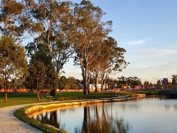 Additional image 5 of 31 Buckley Avenue, Blacktown NSW 2148