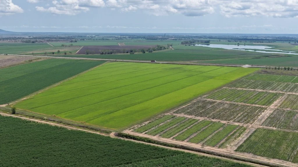 Additional image 10 of 625 Shirbourne Road, Giru QLD 4809