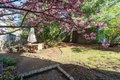 Additional image 34 of 121 Thorndike St, Brookline, MA, 02446