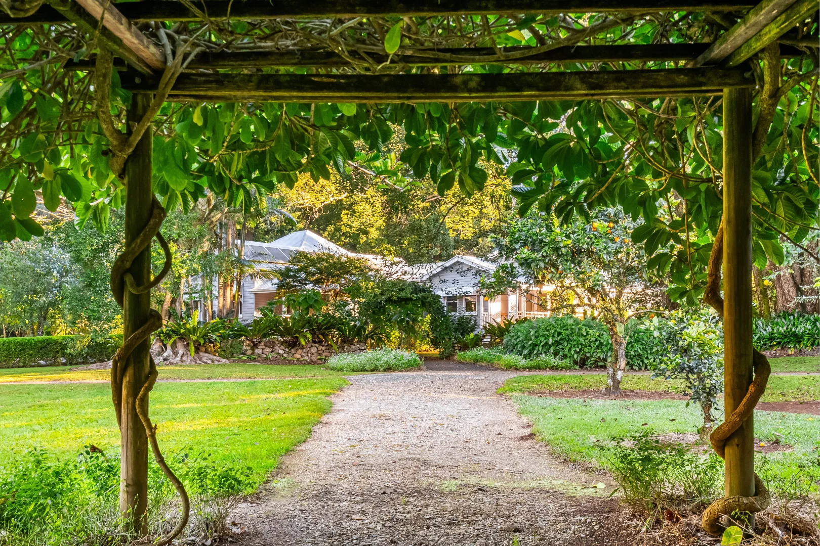 Additional image 4 of 493 Friday Hut Road, Brooklet NSW 2479