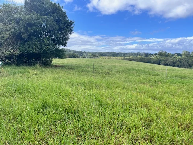 Additional image 9 of Lot 2 Lake Barrine Road, Lake Eacham QLD 4884