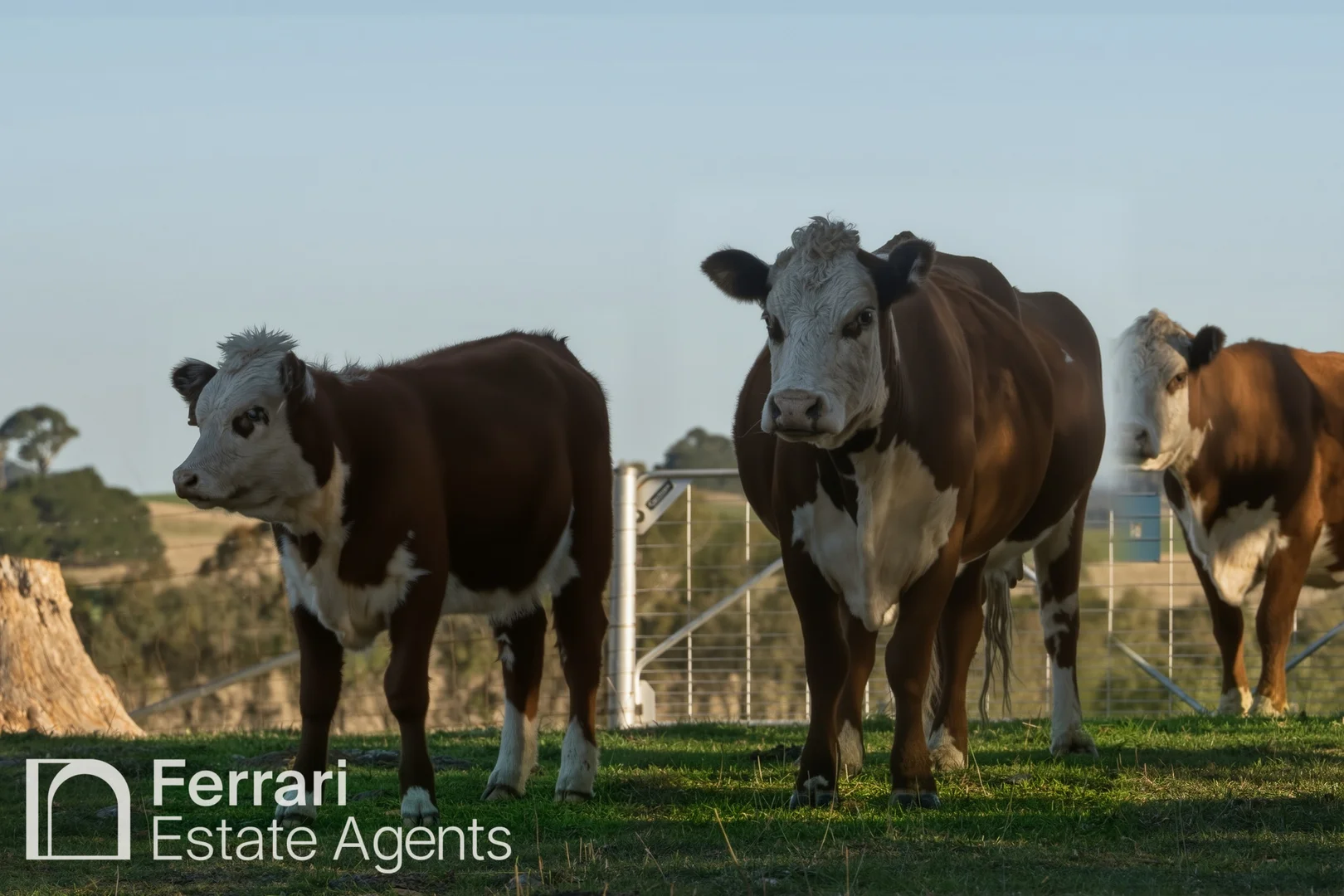 Additional image 53 of 125 Burtons Lane, Orange NSW 2800