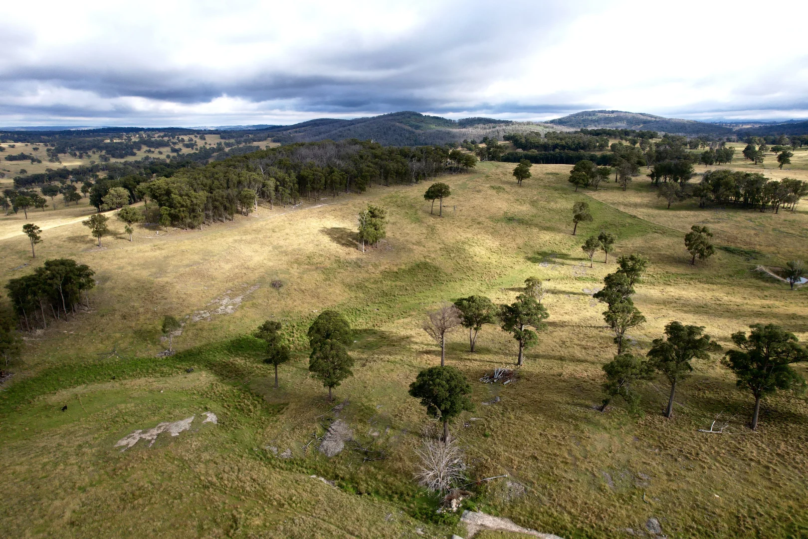 759 Whans Road, Guyra NSW 2365 photo 2
