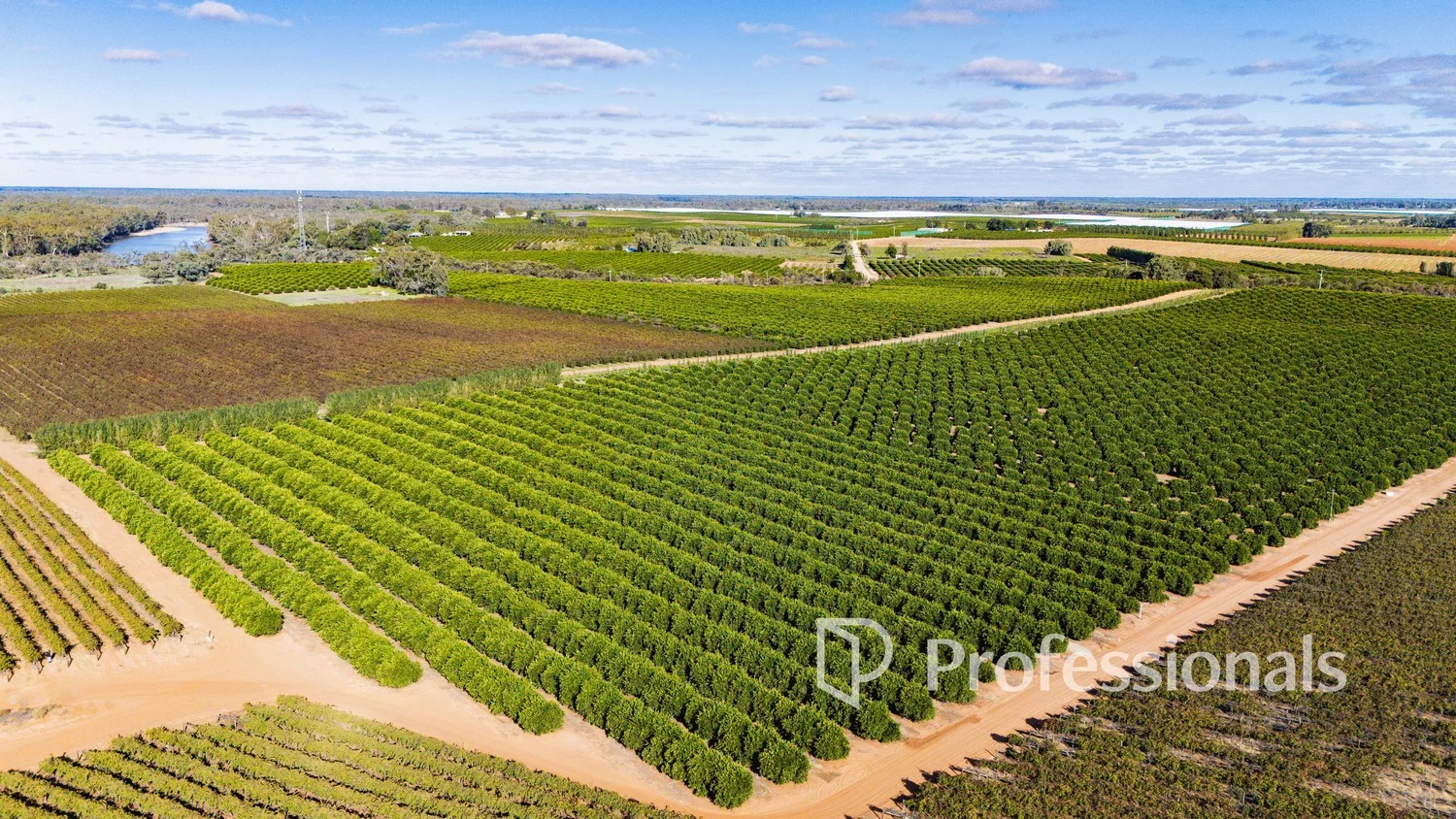 Additional image 5 of 2836 Kulkyne Way, Nangiloc VIC 3494