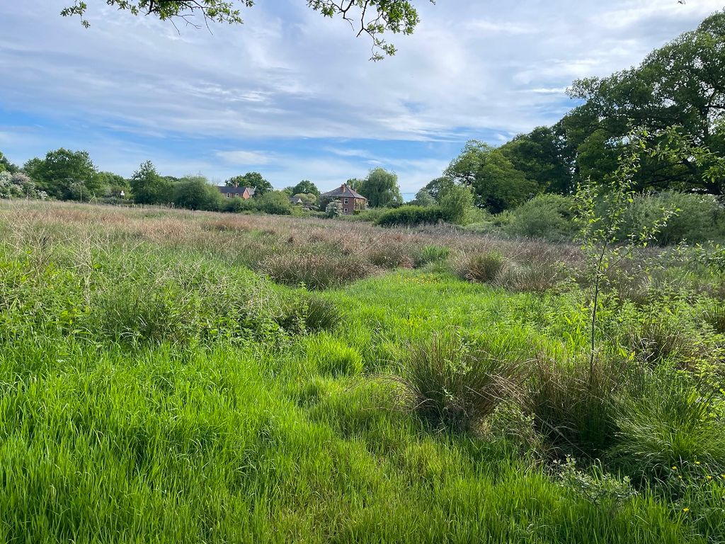 Land for salePopes Lane, Lower Upham SO32 photo 2