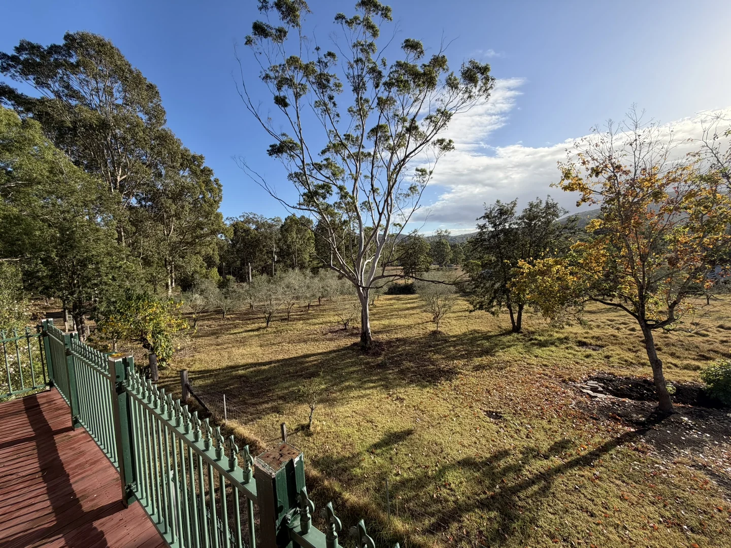 Additional image 24 of 124 Duns Creek Road, Duns Creek NSW 2321