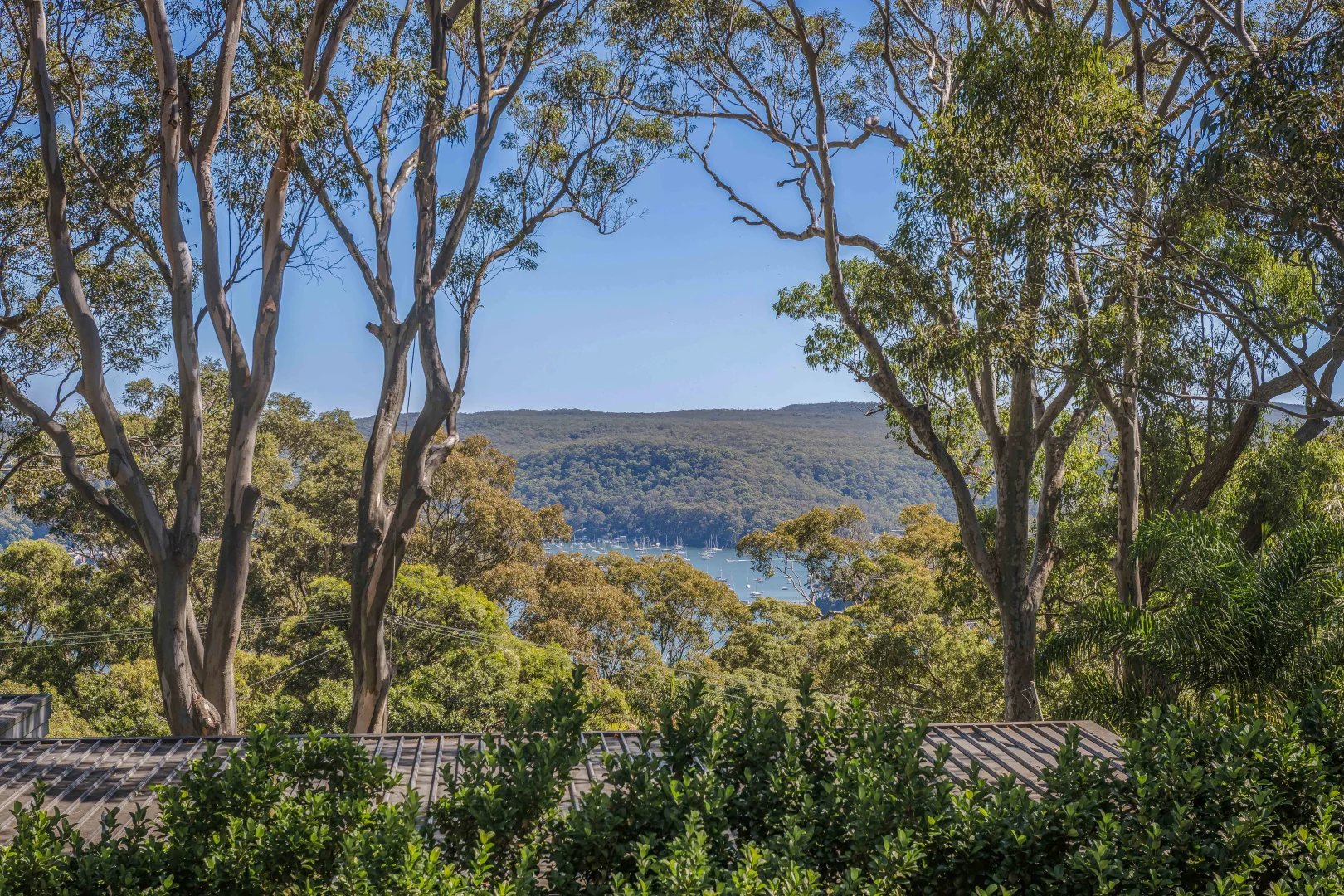 Additional image 18 of 25 Argyle Street, Bilgola Plateau NSW 2107