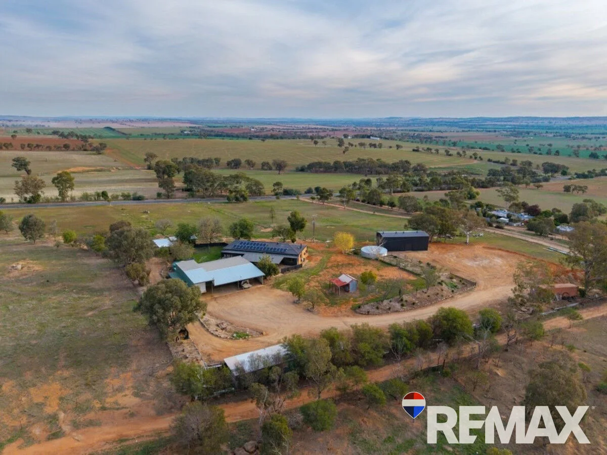Additional image 22 of 3779 Olympic Highway, Junee NSW 2663