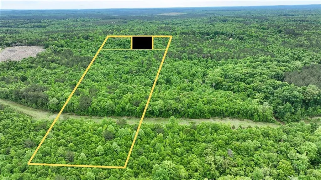 Additional image 31 of 1850 Lee Rd 140, Salem, AL 36874