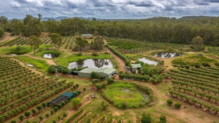 Additional image 19 of 86 Simpsons Road, Bullyard QLD 4671