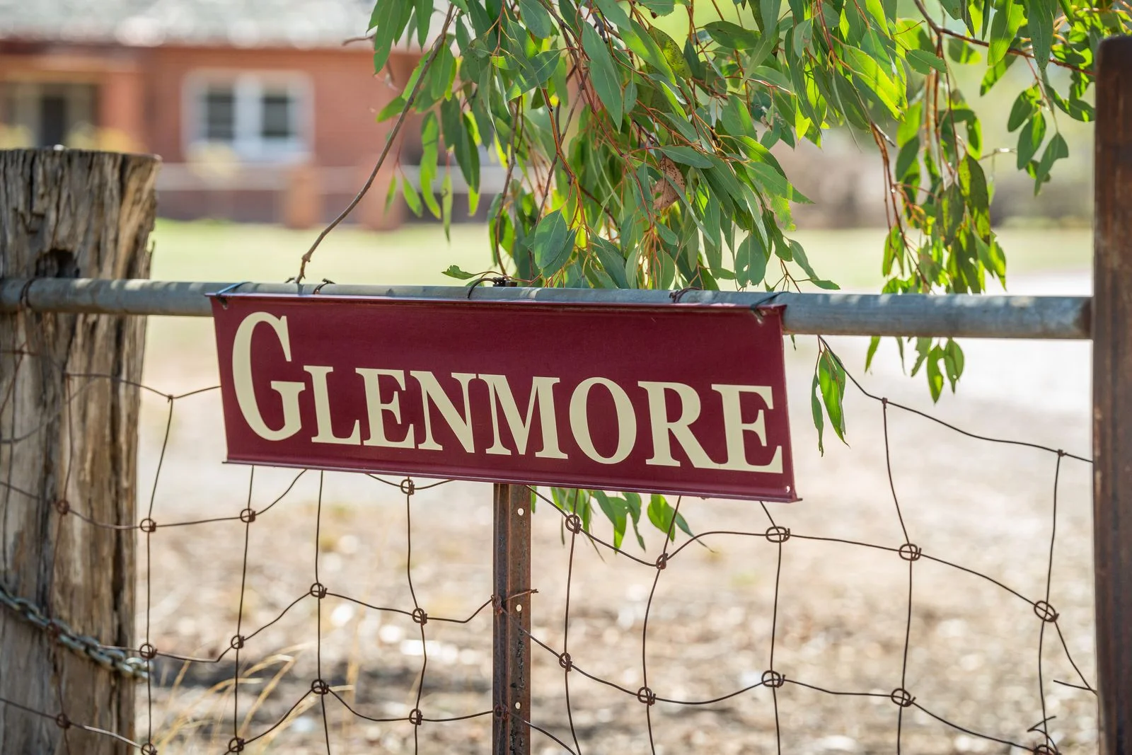 Additional image 3 of 1127 Grubben Road, Henty NSW 2658