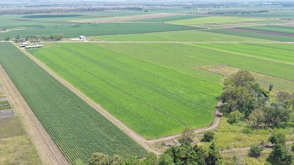 Additional image 14 of 625 Shirbourne Road, Giru QLD 4809