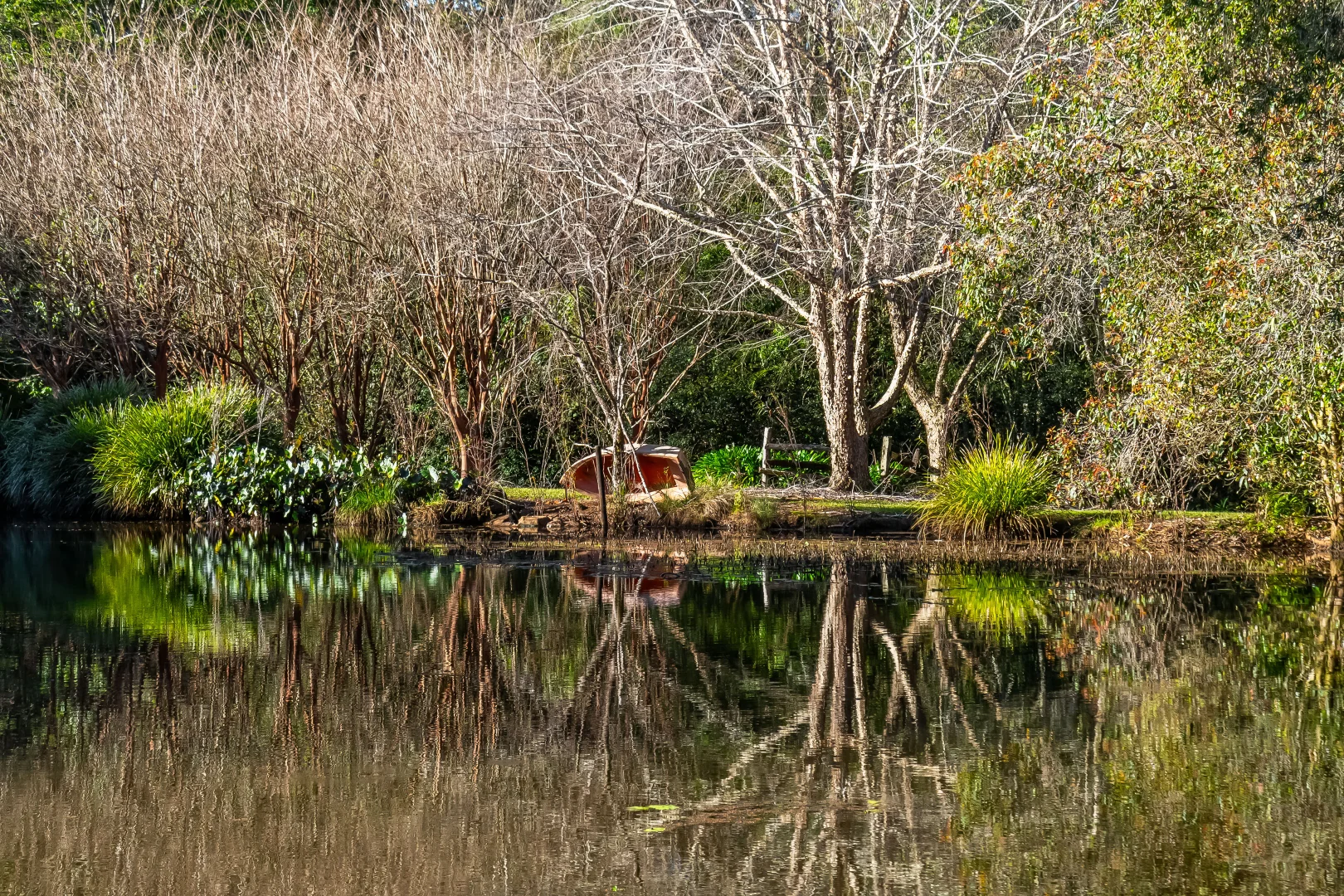 Additional image 13 of 493 Friday Hut Road, Brooklet NSW 2479