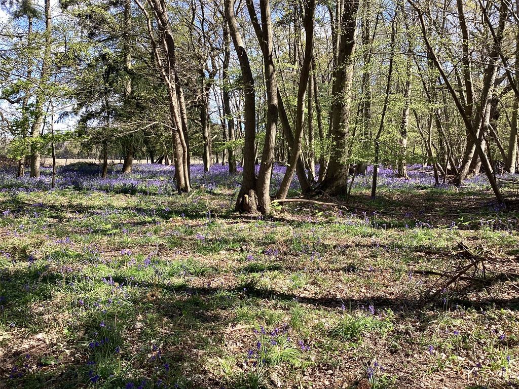 Additional image 6 of Land for saleHolbrook, Ipswich, Suffolk IP9