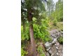 Additional image 3 of 20705 Miracle Mile Lot 3, Leavenworth, WA, 98826