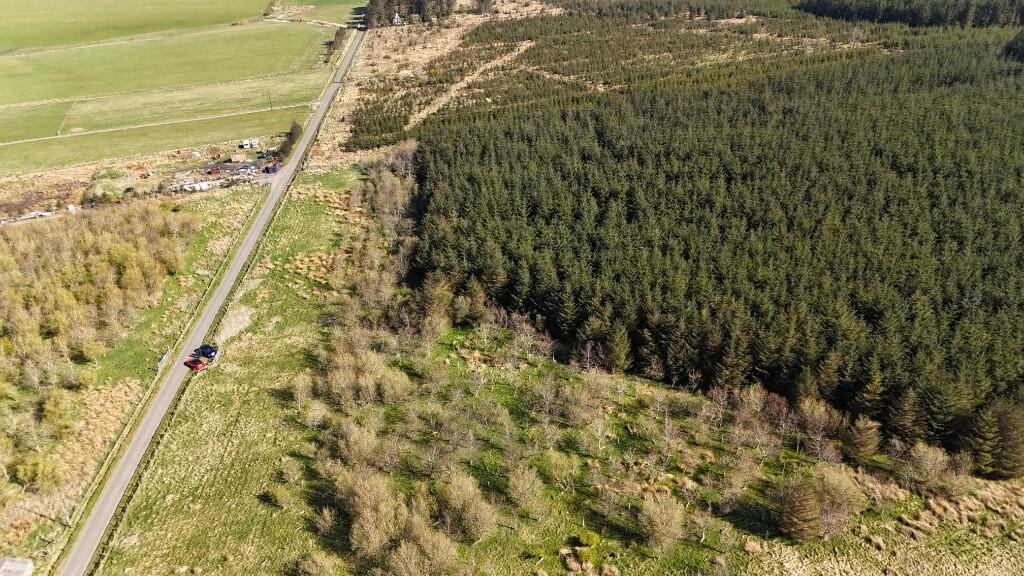 Additional image 4 of Woodland at Broadmuir, Hill of Fisherie, Turriff, AB53 5QL