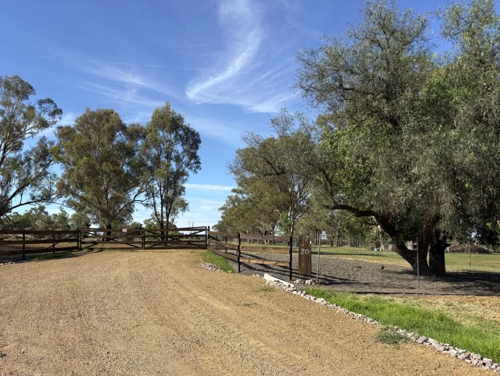 Additional image 6 of 20 Cable Street, Canowindra NSW 2804